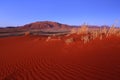 Namib Rand NR Ã¢â¬â Wolwedans Royalty Free Stock Photo